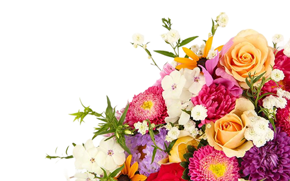 flower image